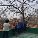 원곡게이트볼장 이미지