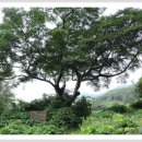 계척체육공원 이미지