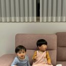 더쉼풀빌라 이미지