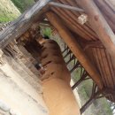 청송도석 앞 이미지