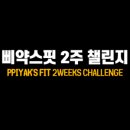 삐약스핏 이미지