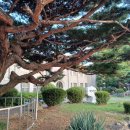 호반숲속작은도서관 이미지