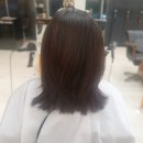 헤어쩡 네이버블로그