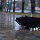 봄특집_발라드_전양우 시인의 담벼락_작사 전양우_가수 양우_작 편곡 수노_기획 프로듀서 윤기영 이미지