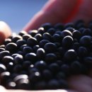 소만농장 이미지