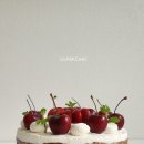 체리빠 이미지