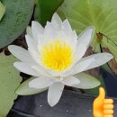 포니 태양광발전소 네이버블로그