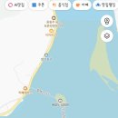 레몬향데이지 이미지