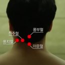 목통증엔 단월드 경침 뇌파진동으로 풀어보세요 이미지