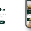 백점사 이미지
