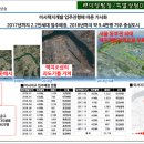 유하1천 이미지