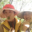 산삼하우스 이미지