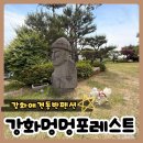 멍멍식탁 | [공지] 강화도 애견동반 펜션 추천 | 멍멍포레스트 깨끗하고 만족한 후기