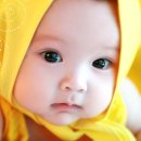 아이똑똑 이미지