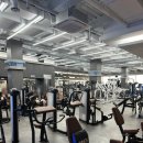 헤일로짐24시휘트니스 GX&필라 상동역점 | [부천 상동 헬스] 상동역헬스 PT 잘하는 곳! ‘헤일로짐24휘트니스gx&amp;필라상동역점’ 다녀왔어요