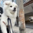 [내일배움캠프] Day 25
