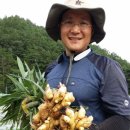 예선아빠농장