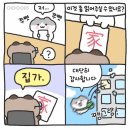 신혼맛집