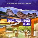 신세계항공여행사