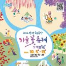 장성실내수영장 이미지