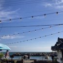 간절곶사슴농장 이미지