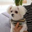 벡스코 동물병원 이미지