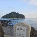 나지금제주 이미지