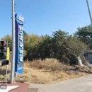 구즉묵보리밥전문점 이미지