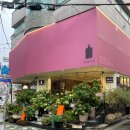가로수길홈스테이 | [강남구/신사역]가로수길맛집 자매의부엌 애견동반 레스토랑