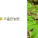 용인농장 이미지