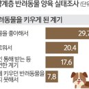 우리동생 동물병원 이미지