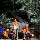 음악이흐르는숲 이미지