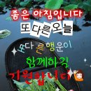 당신만 사랑하는 바보 이미지