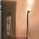 다문화가정복지상담사 이미지