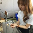 부산더리햅