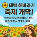해바라기애견