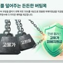 더드림약국 이미지