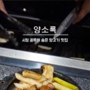 양소록 이미지