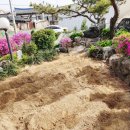 길안천 돌담집 이미지