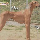 나라한농장 이미지