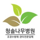 [1종나무병원/수목진료/수목진단/투고/집필] 생활권 수목진료 현장사례 소개 (국립산림과학원 생활권수목진료 민간컨설팅지) 이미지