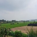 원선농장 이미지