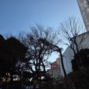 반할듯말듯 | [뮤지컬 관극] 킹키부츠/샤롯데씨어터 2층 A구역 시야