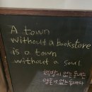 강정동-46 | [3박4일] 제주 여행 코스 3일차 (6월, 수국, 반딪불이 여행)