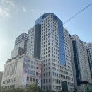 쌀쌀맞은닭 이미지