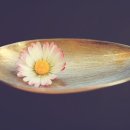 VILLA de LOUIS 이미지