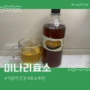 농장풀물 | 기관지에 좋은 초록풀물 미나리효소 후기