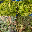 철원군농업기술센터 | 2026 철원 DMZ 마켓 개장 철원의 신선한 농특산물