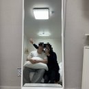 부산 독채숙소 애견동반가능 너른스테이 1박 후기