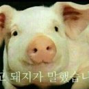 살롱드J 이미지